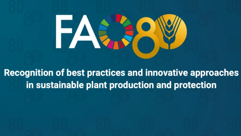 Appel à candidatures de la FAO : Célébration de 80 ans d&rsquo;excellence en production et protection des végétaux